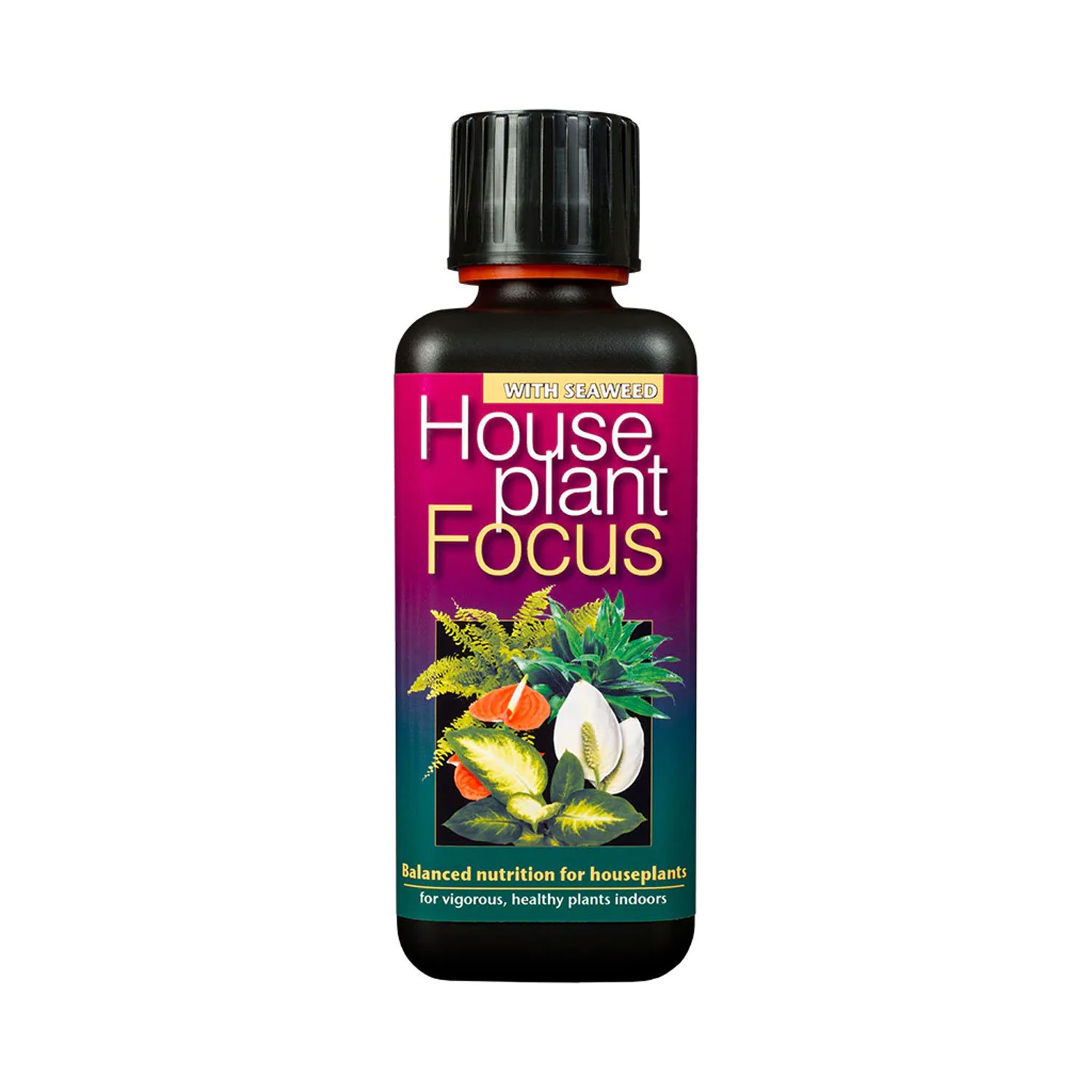 Houseplant Focus - Plant Nutrition – Image 2