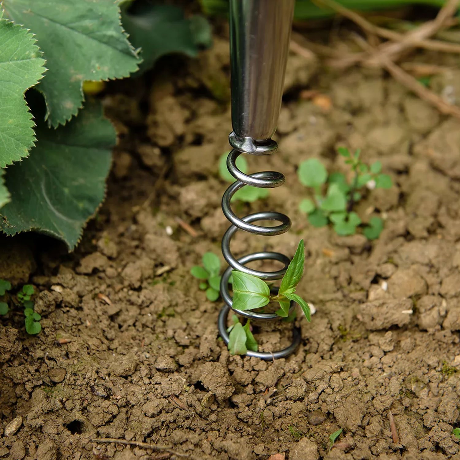 Kent & Stowe Stainless Steel Hand Corkscrew Weeder – Image 2