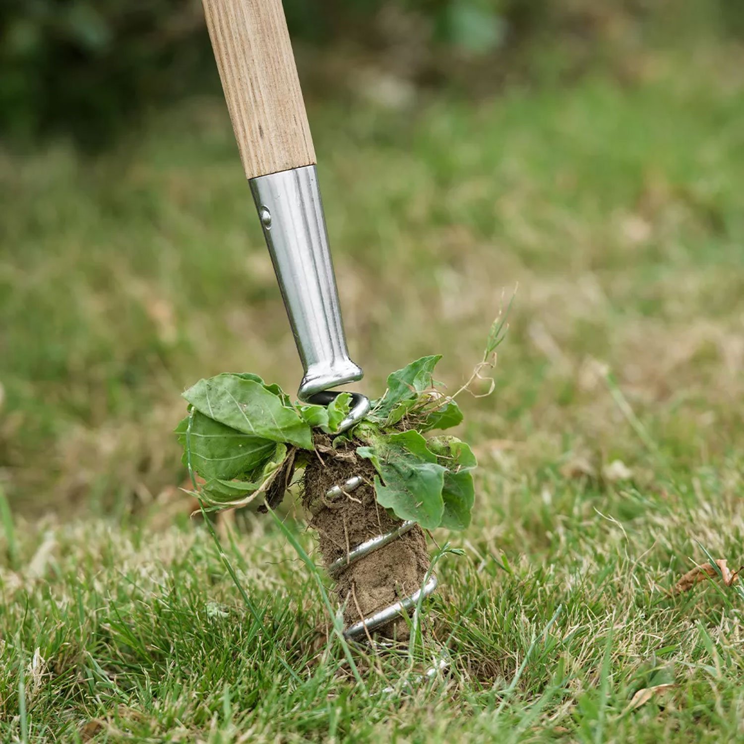 Kent & Stowe Stainless Steel Long Corkscrew Weeder – Image 2